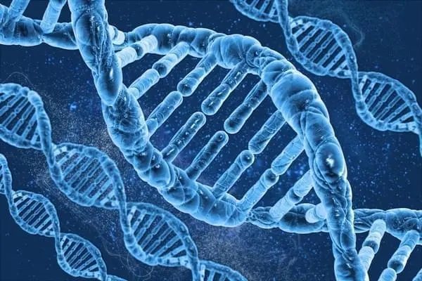 生物技術行業【Biotechnology Industry】
